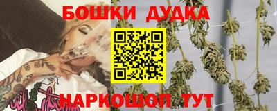 сатива Дубна