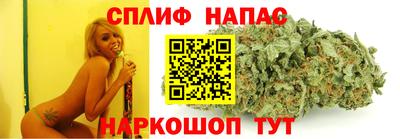 сатива Донецк