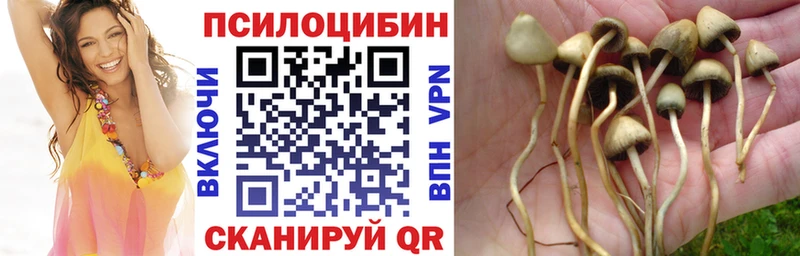 Псилоцибиновые грибы Magic Shrooms Краснодар