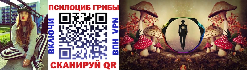 купить   Краснодар  Псилоцибиновые грибы Psilocybine cubensis 