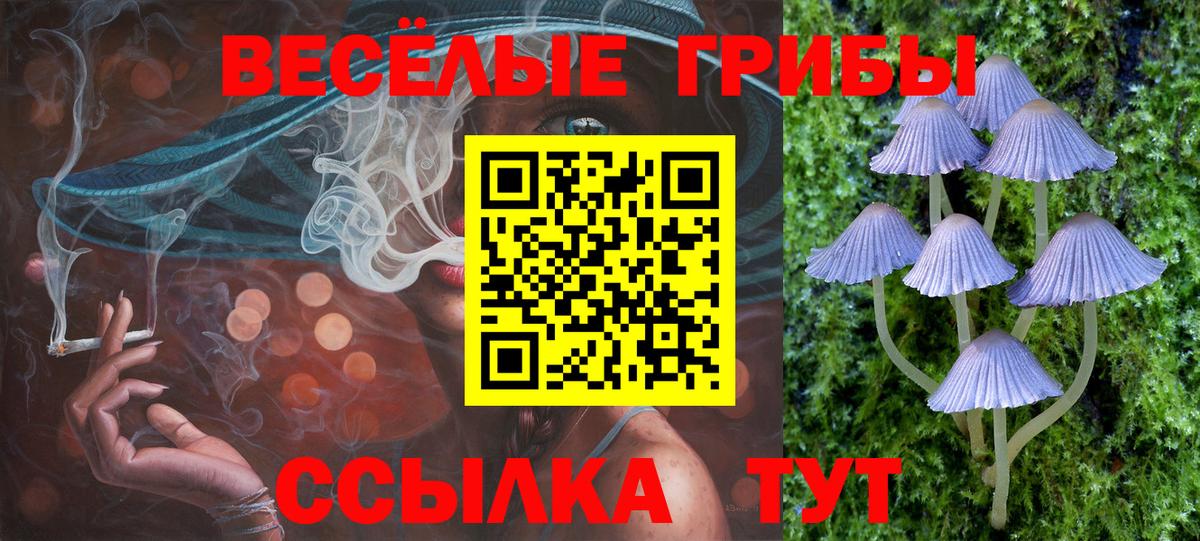 Галлюциногенные грибы MAGIC MUSHROOMS  Галлюциногенные грибы мицелий  Краснодар 