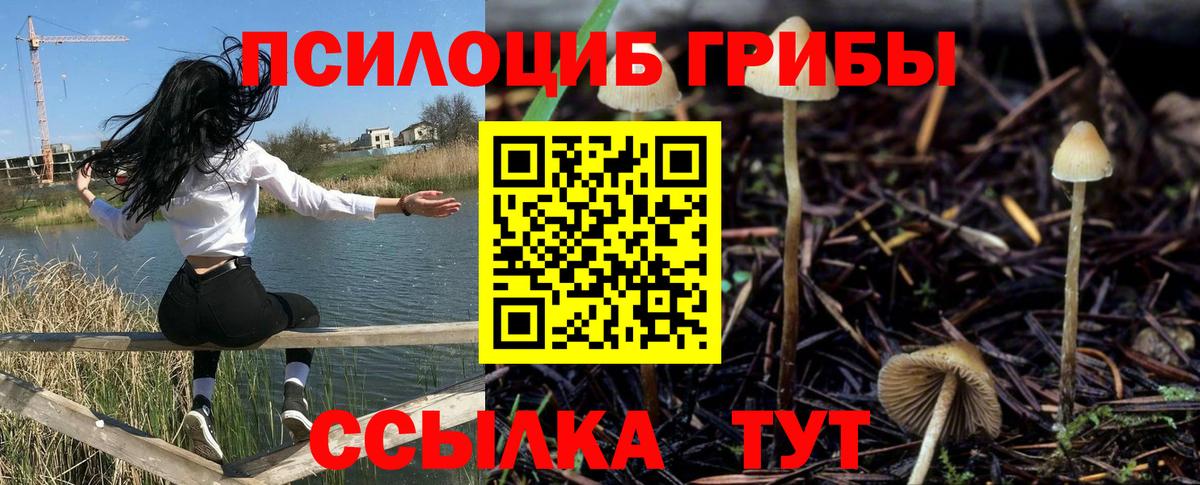 Галлюциногенные грибы мухоморы  Галлюциногенные грибы Magic Shrooms  Краснодар  купить наркотики сайты  Вход с VPN 